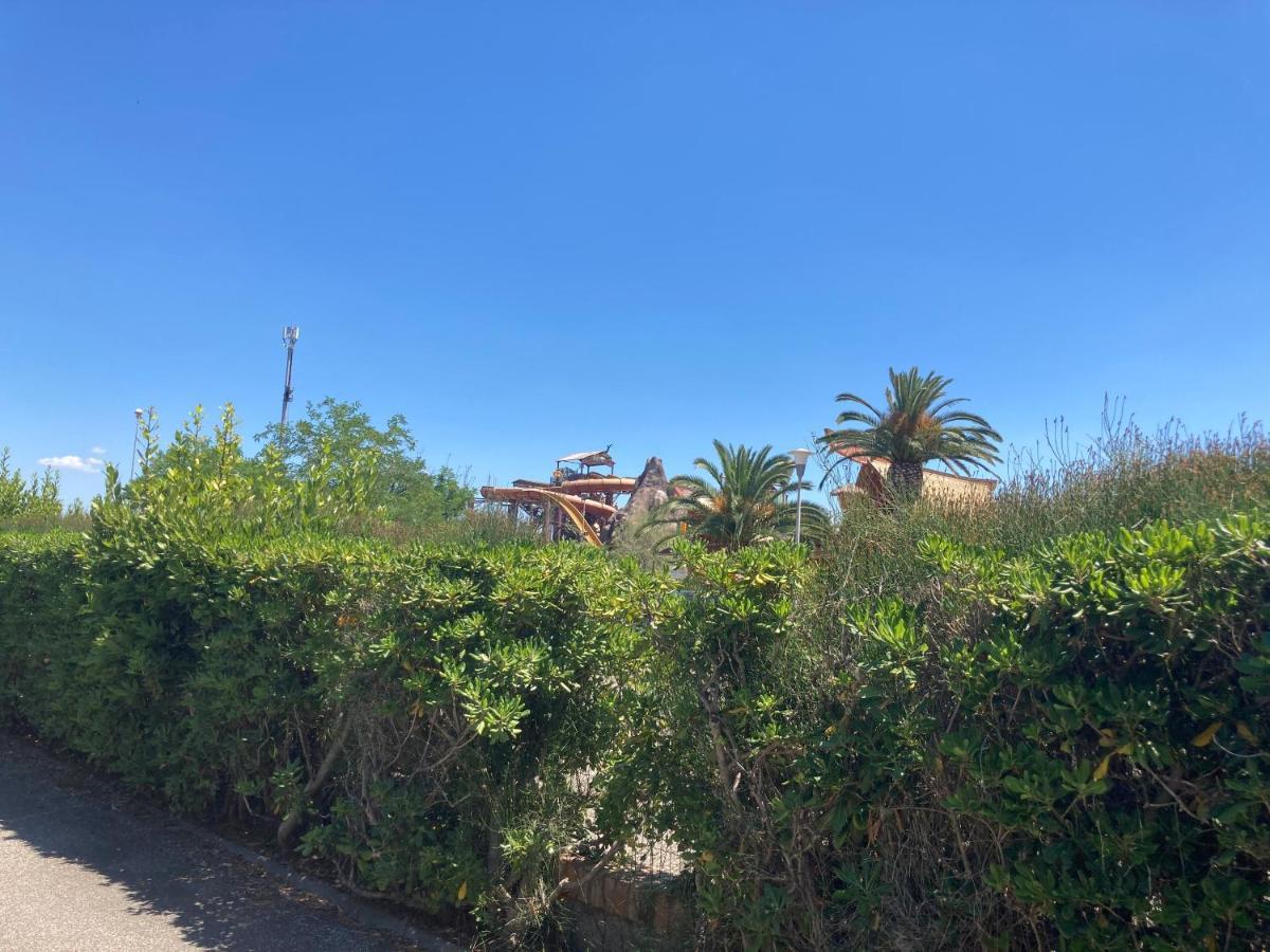 Casa Selia Lägenhet Cecina  Exteriör bild